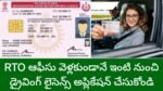 Driving License 2026