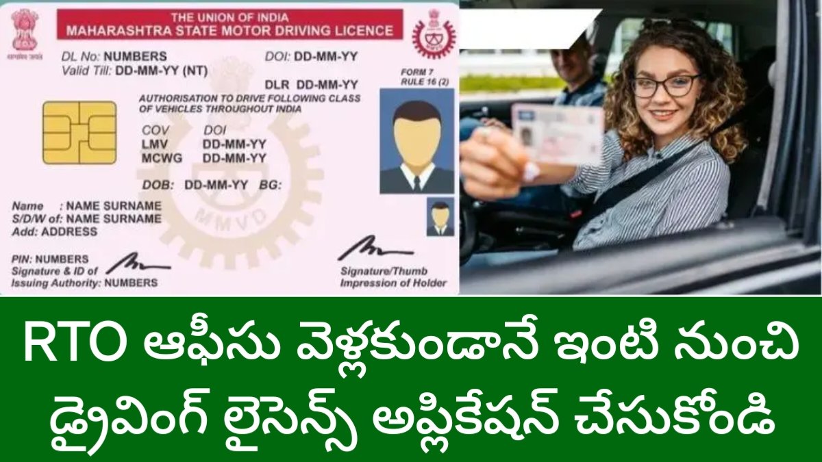 Driving License 2026