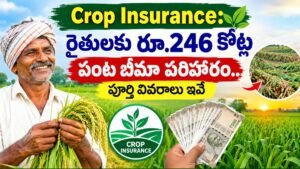 Crop Insurance