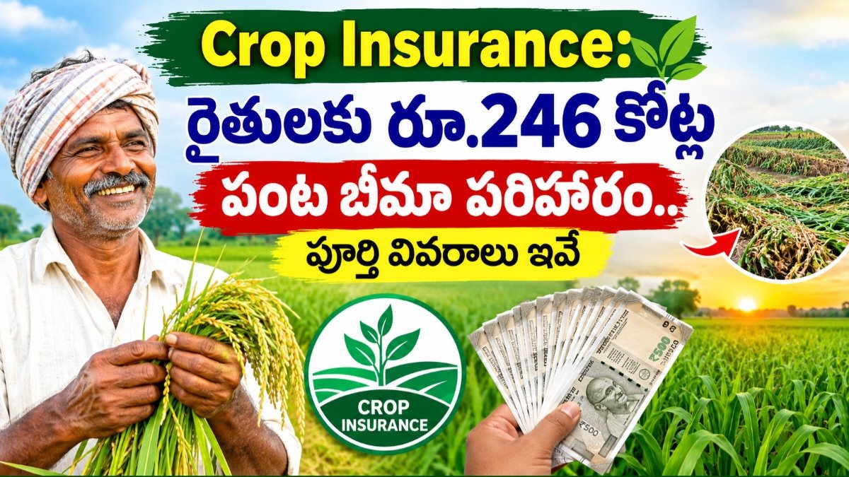 Crop Insurance